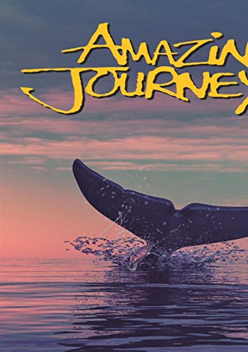 DVD cover featuring a whale’s tail breaching a pink and orange ocean.