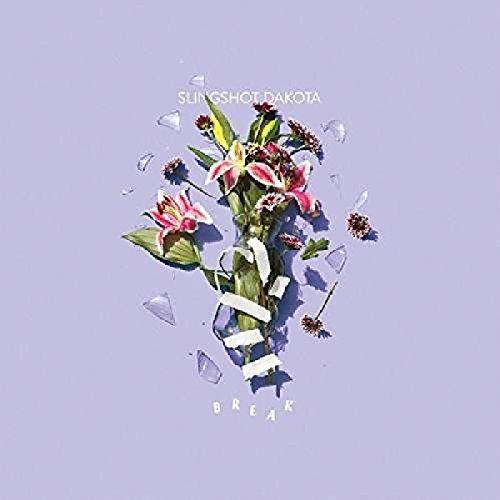 Album cover for Slingshot Dakota’s “Break” featuring flowers and broken glass.