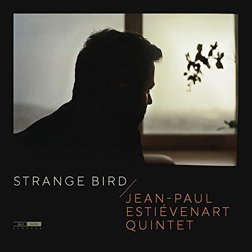 "Album cover with a man's silhouette and birds on a frosted window."