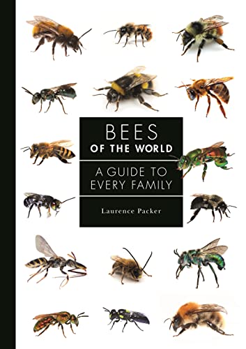 Bees of the World: A Guide to Every Family: 5