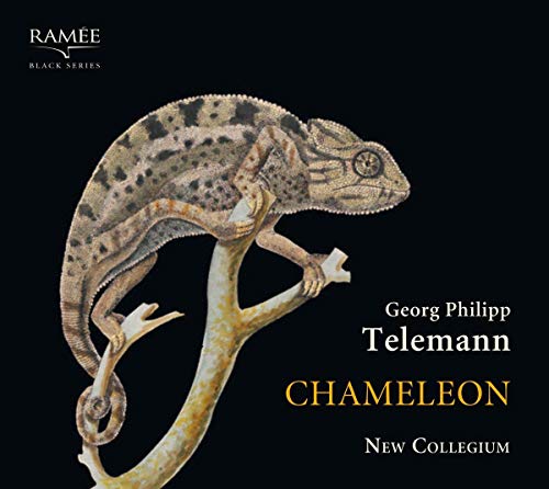 CD cover featuring a realistic painting of a chameleon on a branch.