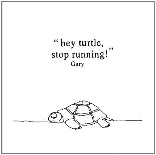 Line drawing of a turtle with text reading “hey turtle, stop running!”.