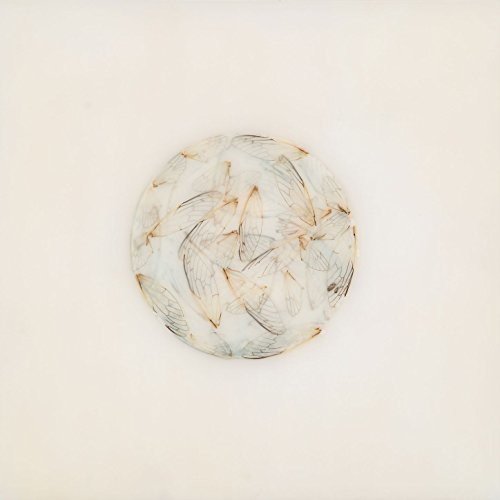 A white CD with a butterfly pattern on a plain white background.