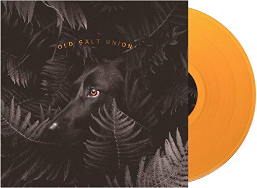 "Orange vinyl record with black cover featuring a dog's face surrounded by ferns."