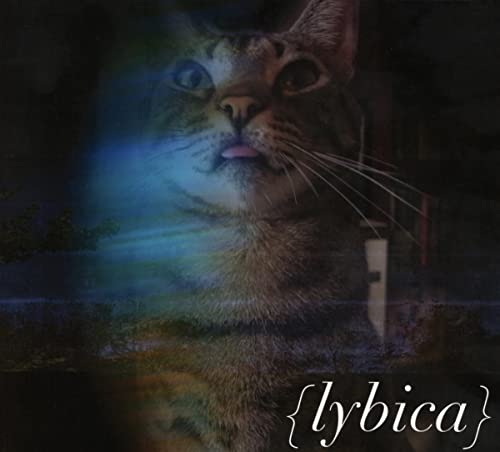 Close-up of a tabby cat’s face with a blurred, colorful background.