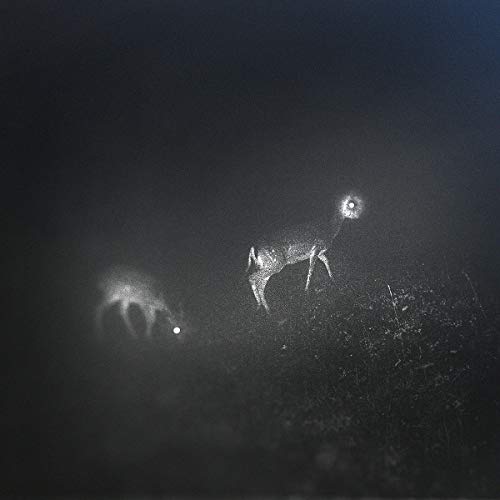 A black vinyl record with white designs, including a deer-like figure and a skull.