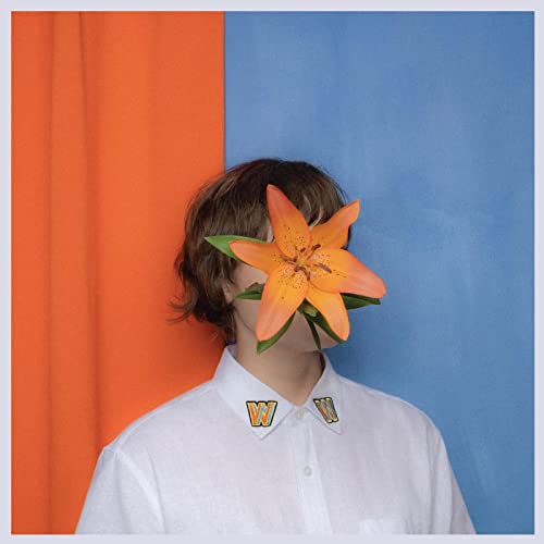 Person with orange lily covering face, white shirt, orange and blue background.