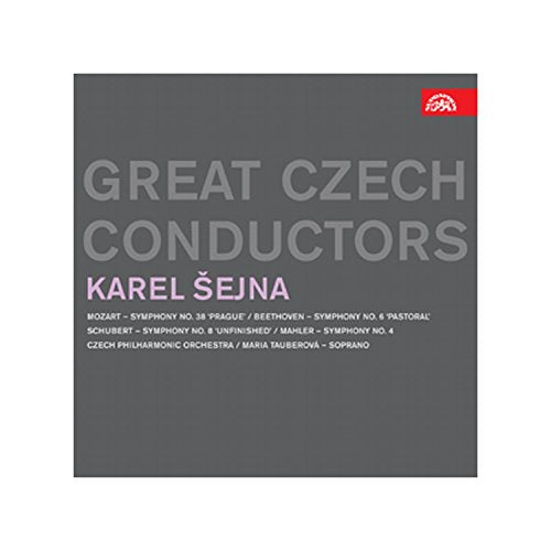 A grey CD cover with "GREAT CZECH CONDUCTORS" and "KAREL ŠEJNÁ" in large text.
