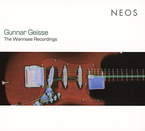 "Album cover featuring a red guitar with flowers on a white background."