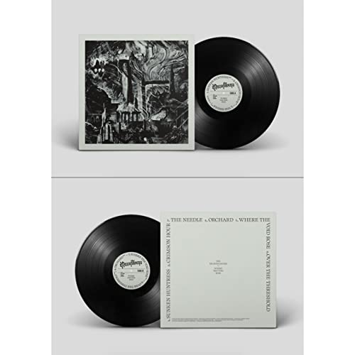 Vinyl record and album cover for Necromancers’ “Where The Void Rose.”