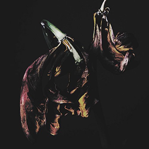 Dark, abstract floral image for the Traams "Grin" vinyl record.