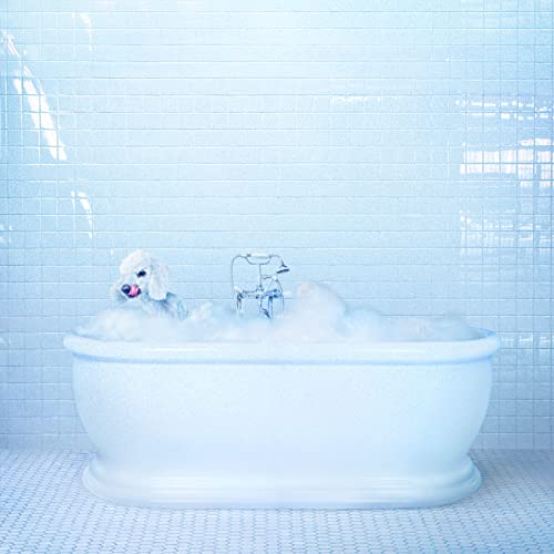 White poodle in a bubbly bathtub, blue tiled bathroom background.