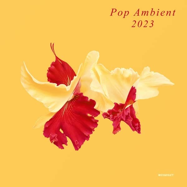 Pop Ambient 2023" vinyl album cover with red and yellow flowers.