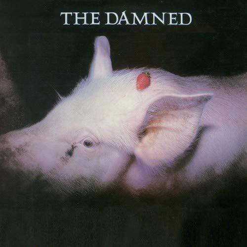 "Album cover featuring a white piglet with a strawberry on its head."