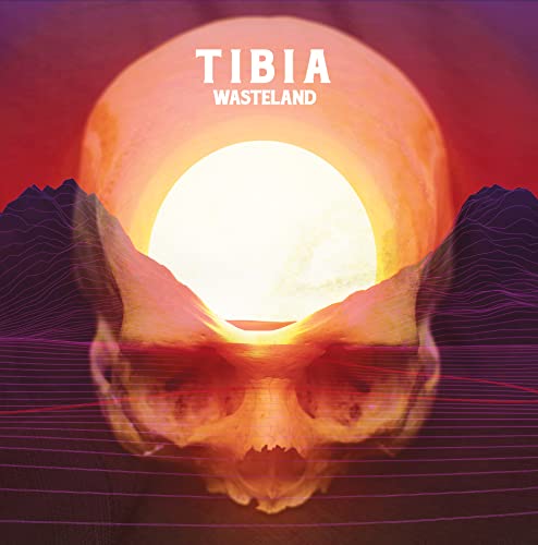 Album cover for "Tibia - Wasteland" featuring a skull and sun.