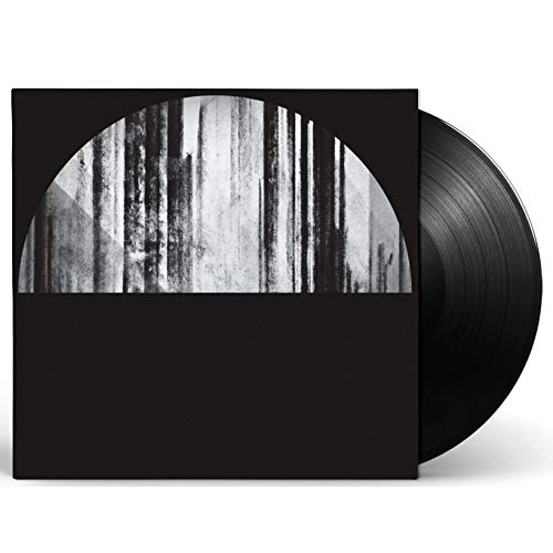 Black vinyl record with album cover featuring a grayscale, abstract design.