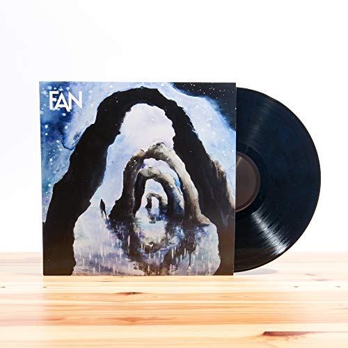 Vinyl record and album cover for "Fan" with abstract, swirling artwork.