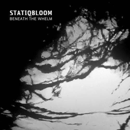 Black and white album cover with tree branches over a bright, white background.