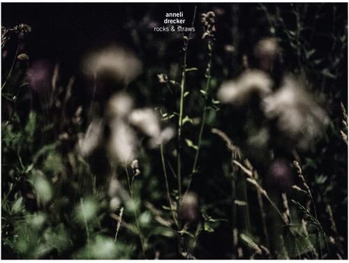 Album cover for Anneli Drecker’s “Rocks & Straws” featuring blurred wildflowers.