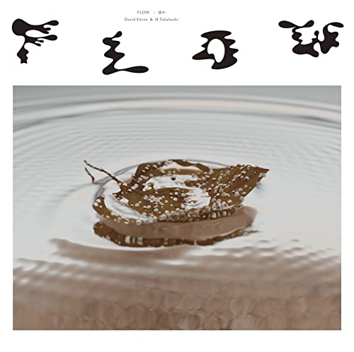Vinyl record cover with a leaf on water and abstract text.