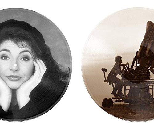 Two vinyl records with different images: a woman and a cloudbusting machine.