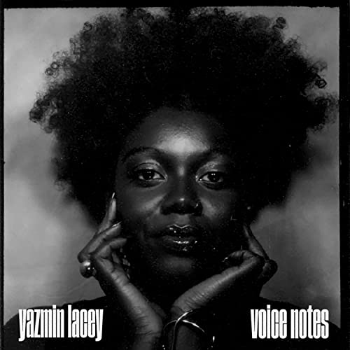 Black and white portrait of Yazmin Lacey with textured hair.