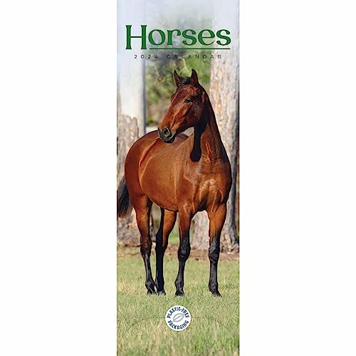 Horses Slim Calendar 2024
