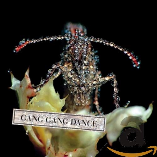 CD cover for Gang Gang Dance’s “Eye Contact” featuring a lobster and flower.