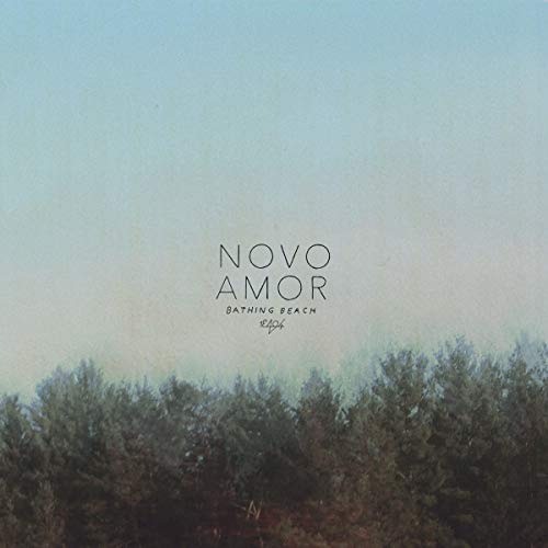 Vinyl album cover with a misty forest landscape and "Novo Amor" text.