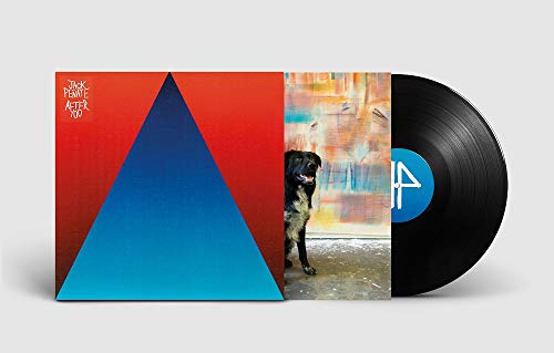 Vinyl record with album cover featuring a dog and geometric shapes.