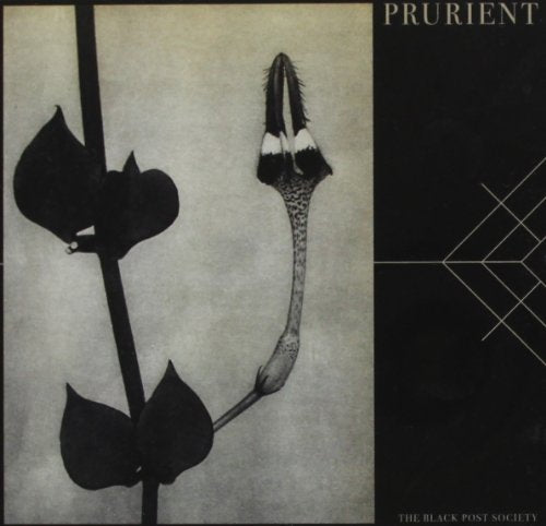 CD cover for Prurient, featuring a green, cloudy background and white geometric lines.