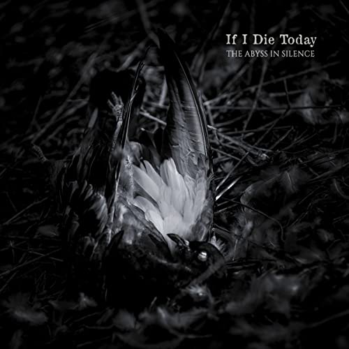Black and white album cover featuring a distressed bird among feathers.