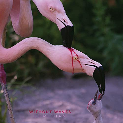 CD cover: two pink flamingos with a small bird in beak.