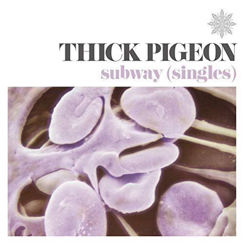 Vinyl record cover: "Thick Pigeon - Subway (Singles)" with purple plant imagery.