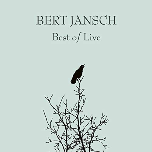 "Vinyl record cover with a black crow on a branch against a light green background."