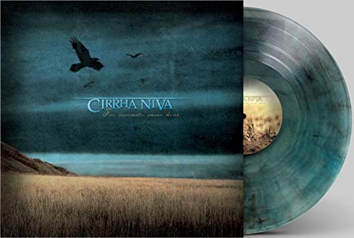 Cirrha Niva vinyl record with landscape cover art and a flying bird.