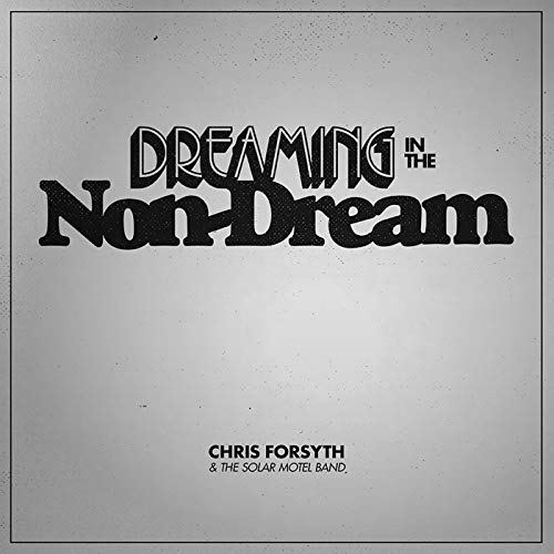 Album cover for "Dreaming In The Non-Dream" by Chris Forsyth, with bold text.