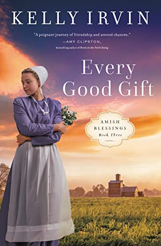 Every Good Gift: 3 (Amish Blessings)