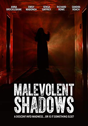 DVD cover for horror film “Malevolent Shadows” featuring a shadowy figure.