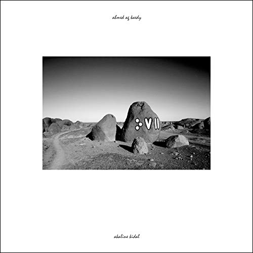 Black and white album cover with rocky landscape and large “VI” symbol.