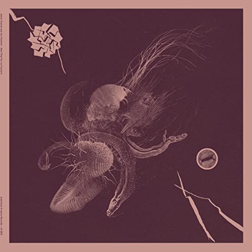 Monotone maroon album cover featuring surrealLTS surreal, organic biological forms and abstract shapes.