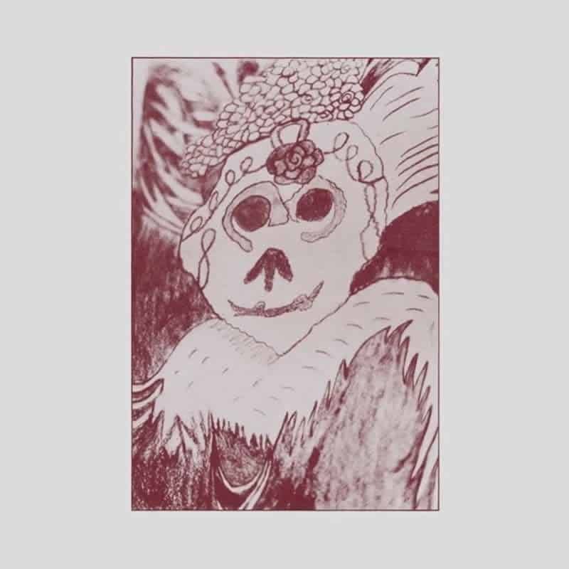Sketch of a skull with floral adornments, in muted red tones.