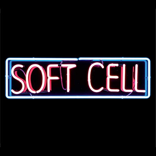 Neon sign with pink letters and blue border reading Soft Cell on black background.