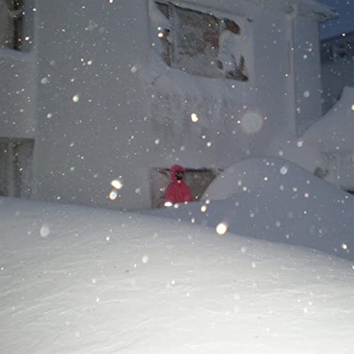 Person in red coat stands in deep snow during a blizzard.