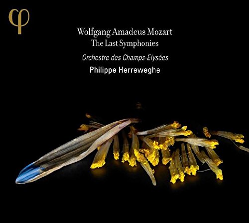 CD cover with black background, yellow flower petals, and white text listing Mozart's last symphonies.