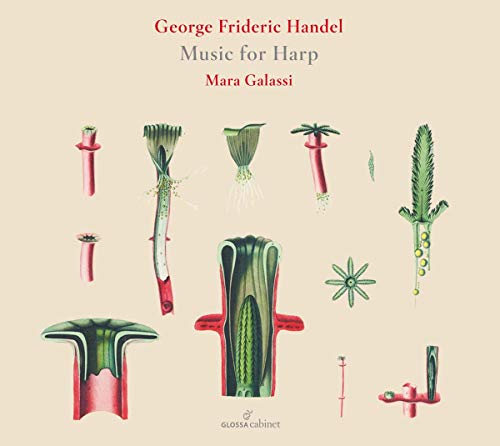 CD cover with botanical illustrations on beige background, featuring title and artist's name.
