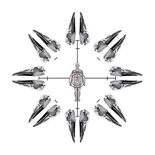 Circular arrangement of bird skulls around a human figure on white.