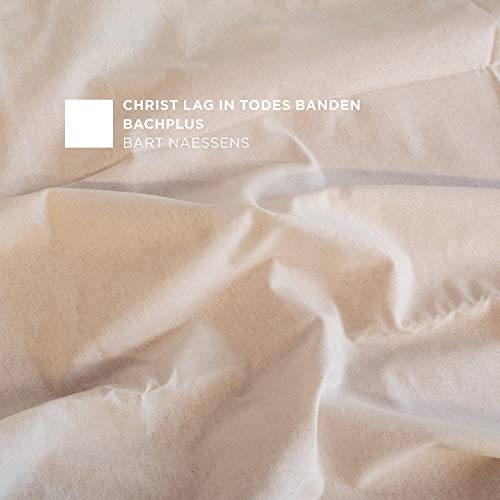 A crumpled, off-white fabric background with white text overlay, displaying album title and artist.