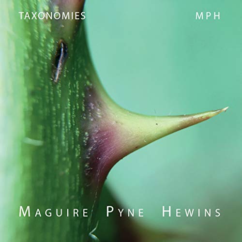 CD cover for "Taxonomies" by Maguire, Pyne & Hewins, featuring a thorn.
