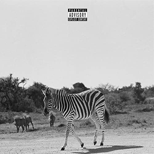 Black and white photo of a zebra and two foals in a landscape.